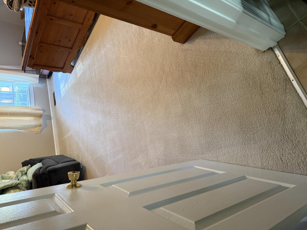 Carpet after RF cleaning - clean restored fibers