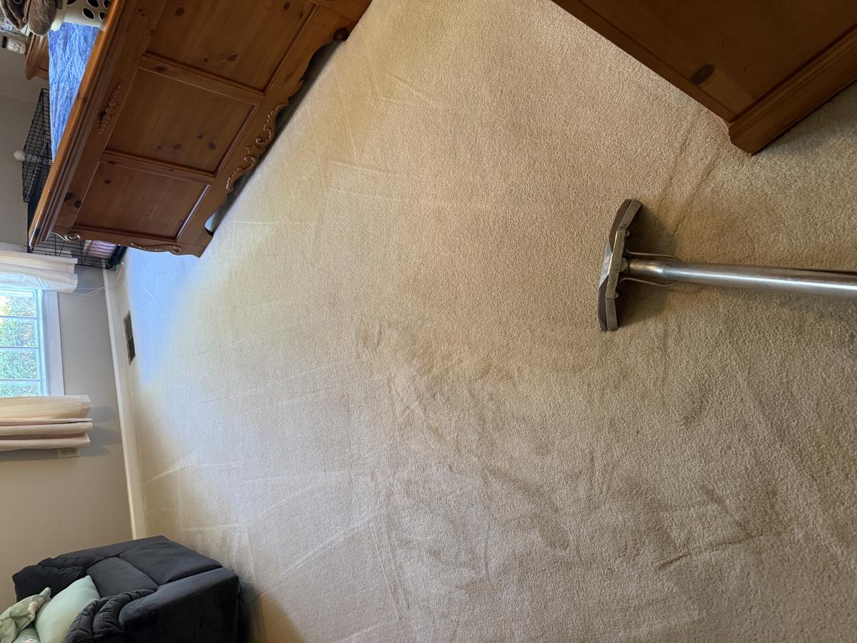 Carpet cleaning in progress with Rotovac wand